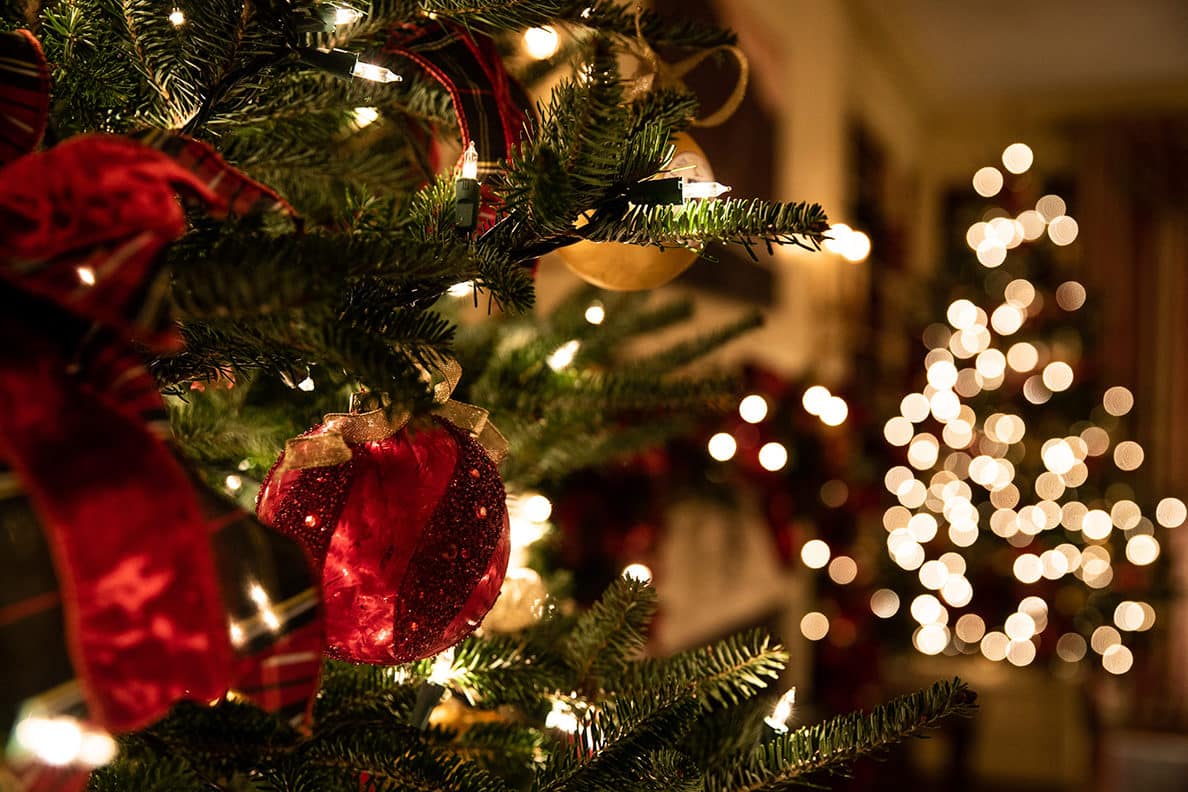 In memoria delle vittime della pandemia, un albero di Natale sarà po­si­zio­nato al­l’in­gres­so del­l’o­spe­da­le Cer­vel­lo