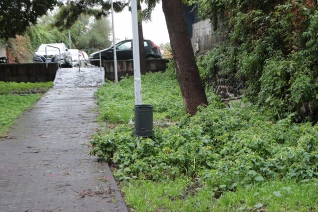 Catania, area verde via della Primula: il consigliere Cardello chiede di riqualificarla e consegnarla alle associazioni del territorio