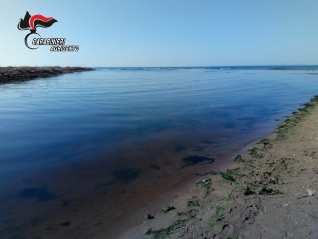 Agrigento, l’Arma a tutela dell’ambiente: esiti dei controlli sulla campagna olearia 2020