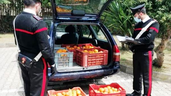 Catania, Alt dei carabinieri: in macchina 150 chili di arance, ma non dicono da dove provengono