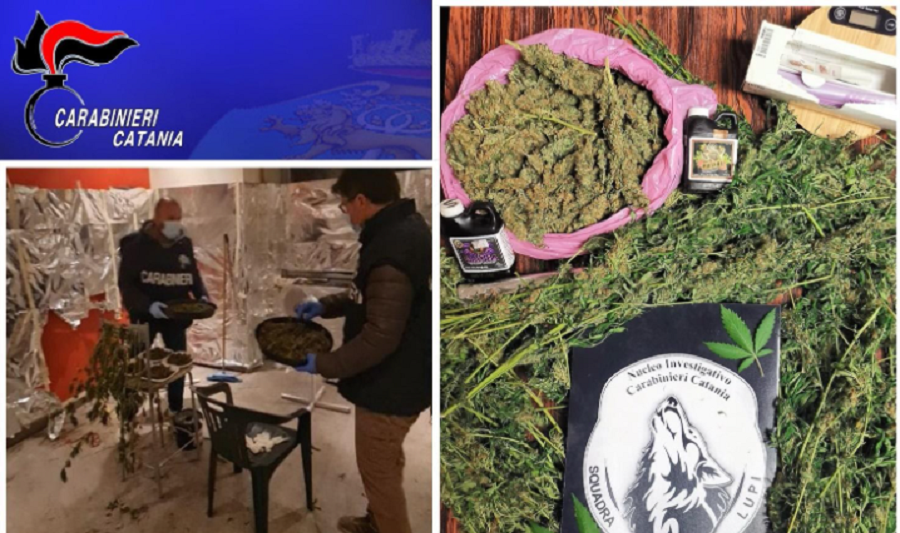 Catania, “casa della droga” in via dell’Oro: trovato mezzo chilo di marijuana – il VIDEO della perquisizione