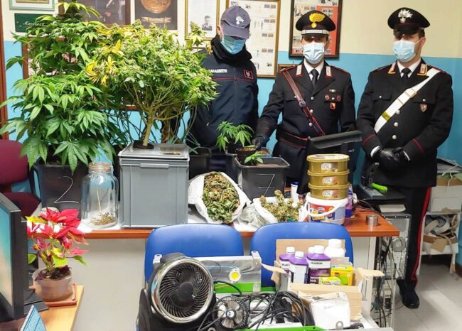Belpasso, coppia coltivava canapa indiana nella dependance: 32enne arrestato, convivente denunciata