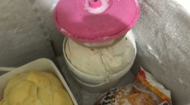Orrore in un panificio, alimenti in cattivo stato e invasi da parassiti: sequestro e denuncia