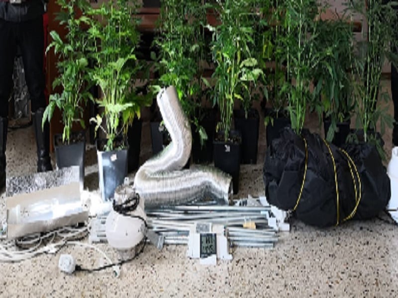 Ragusa, serra di marijuana all’interno della propria casa: ai domiciliari padre e figlio
