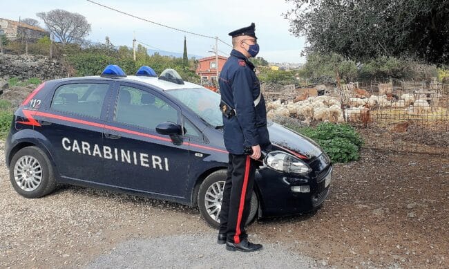 Acireale, allevamento illegale e senza autorizzazioni: sequestrati 20 chili di formaggi e carne