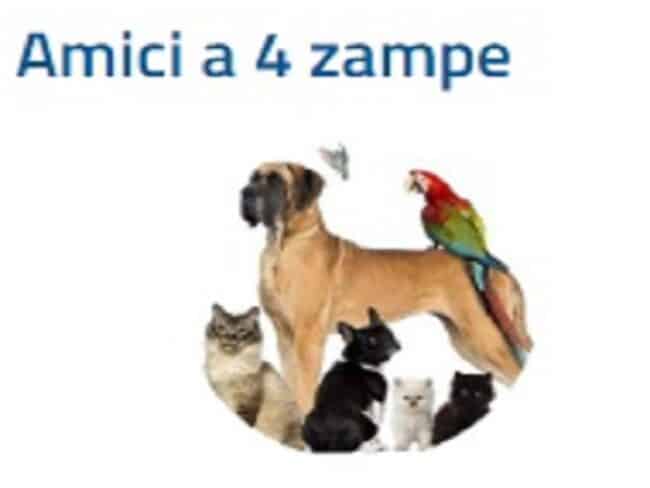 Catania, attivismo contro abbandono e maltrattamento animali: nasce la sezione “Tutela e benessere degli animali”