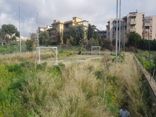 Catania, campetto di via Galermo circondato dalle erbacce: il consigliere Zingale chiede interventi