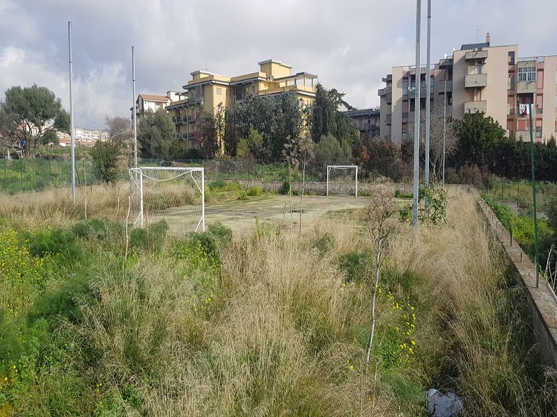 Catania, campetto di via Galermo circondato dalle erbacce: il consigliere Zingale chiede interventi