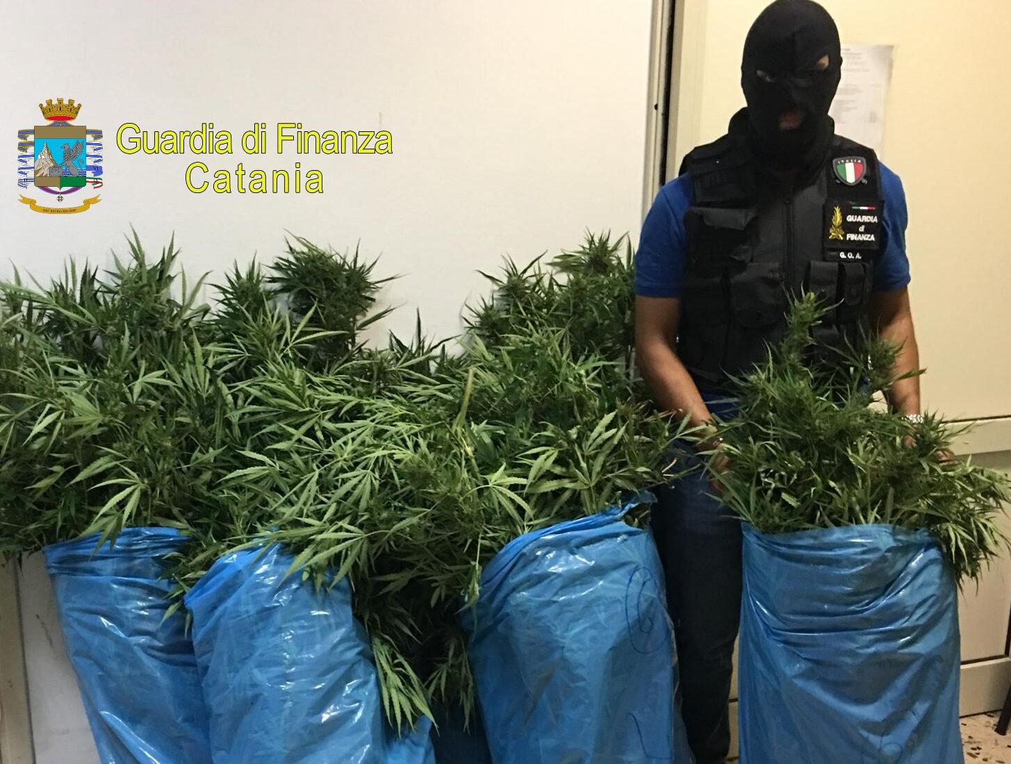 Lentini, fratello capo clan Nardo (Santapaola) arrestato con oltre 1 kg di marijuana
