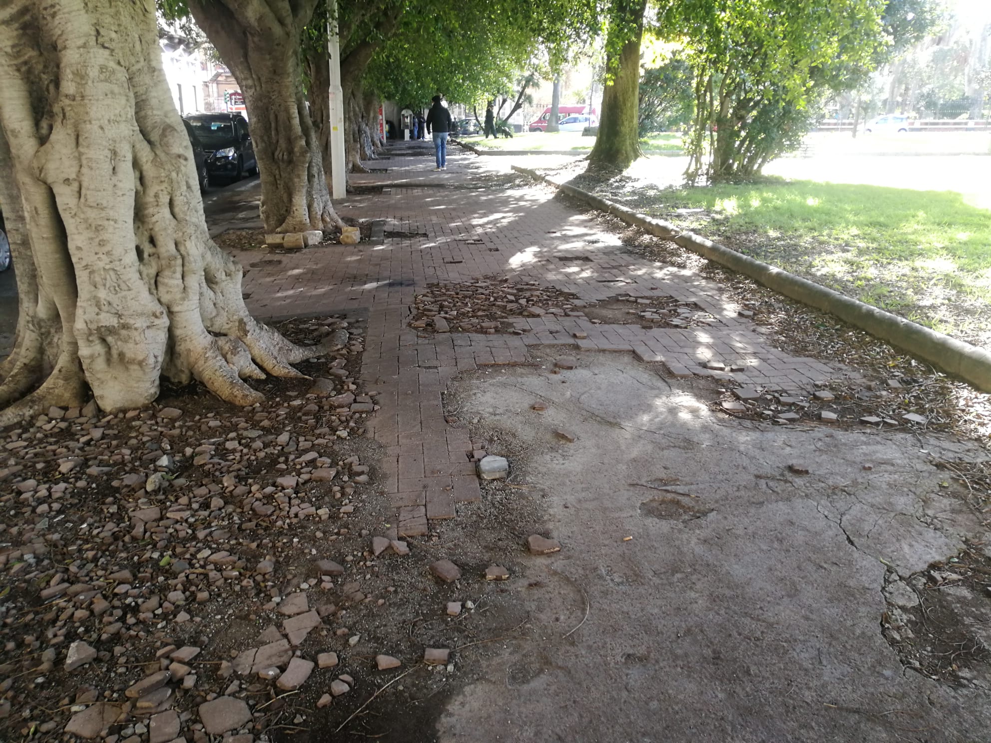 Catania, Piazza Roma punto di aggregazione dai due volti. Le proposte di rilancio di Ferrara