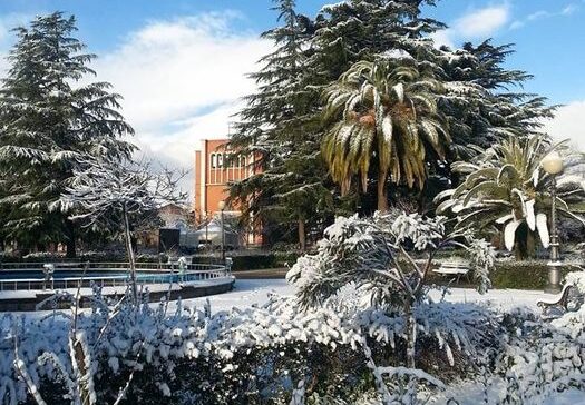 Tetti imbiancati e strade ghiacciate, il freddo siberiano arriva in Sicilia: anche il Catanese coperto di neve