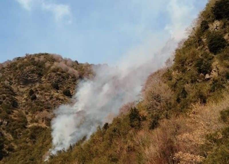 Fumo sull’Etna, stavolta non è un nuovo parossismo: incendio nella Valle del Bove
