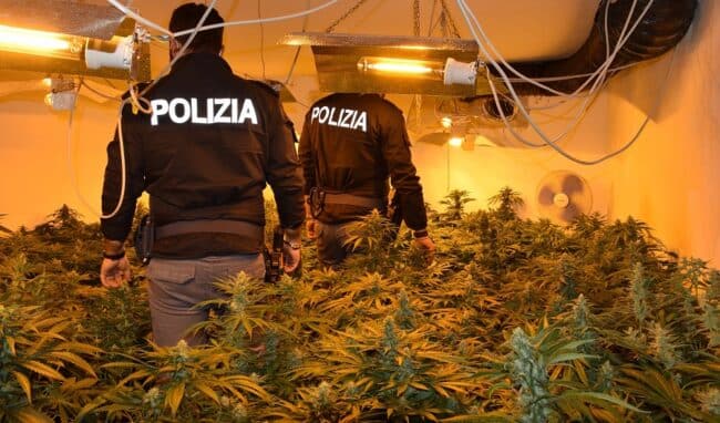 Maxi serra di marijuana in via Gioeni, scoperto appartamento con 270 piante: sequestrati droga e materiali