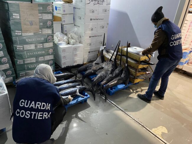 Sicilia, operazione Xiphiidae: maxi sequestro di tonnellate di pesce da Catania a Siracusa