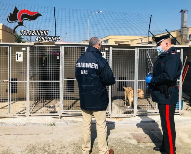 Controllo a sorpresa, sequestrato amministrativamente un canile di Canicattì
