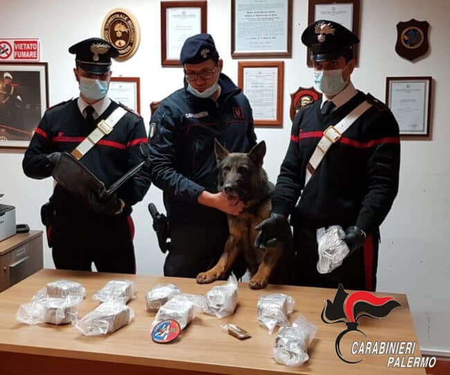 Oltre 5 chili di fumo in panetti, 16enne noto nel quartiere finisce in manette