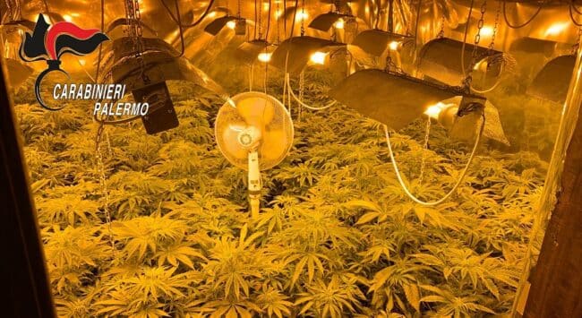 Dalla cocaina al crack, arresti e denunce per spaccio e detenzione: trovate anche serre indoor dal valore di 9mila euro