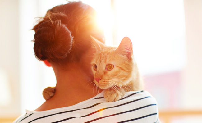 Festa Nazionale dei Gatti: compagni di una vita che riducono stress e nervosismo e regalano buon umore