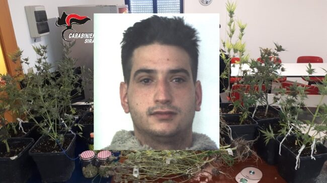 Laboratorio della droga e serra dentro casa, pusher “col pollice verde” arrestato