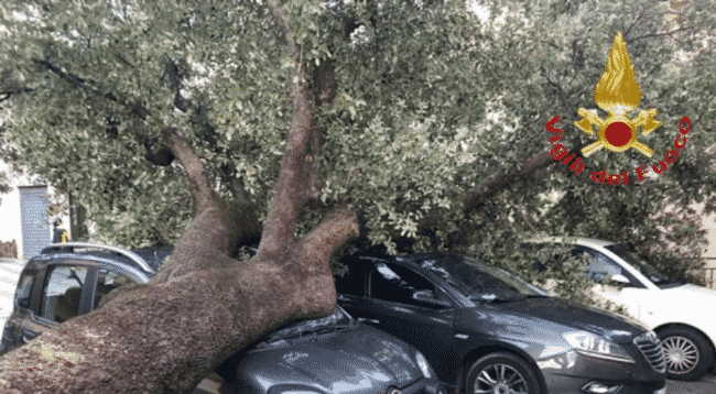 Sicilia, è allerta per il forte vento. Cadono alberi, pali della luce e balconi: auto bloccate e residenti soccorsi