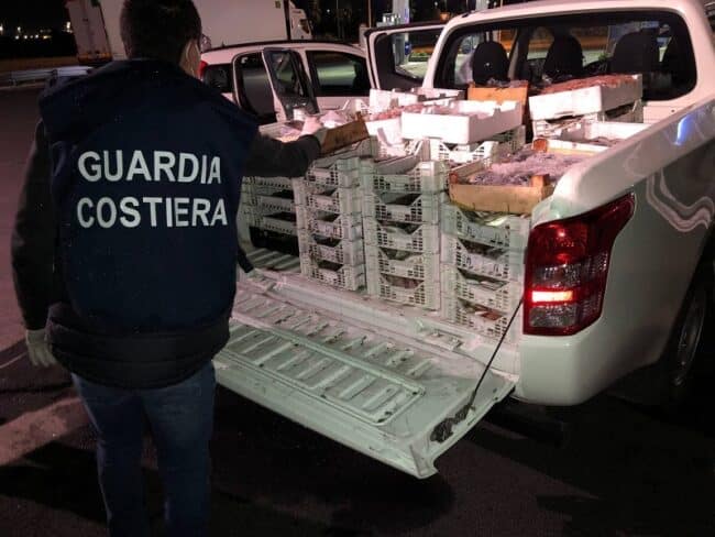 Marcati ittici di Catania, trovati 600 chili di pesce di dubbia provenienza: erano destinati alle piazze rionali