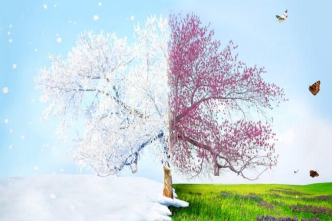 Quando inizia la primavera 2021? Quest’anno un giorno in anticipo: non il 21 ma il 20 marzo, ecco perché