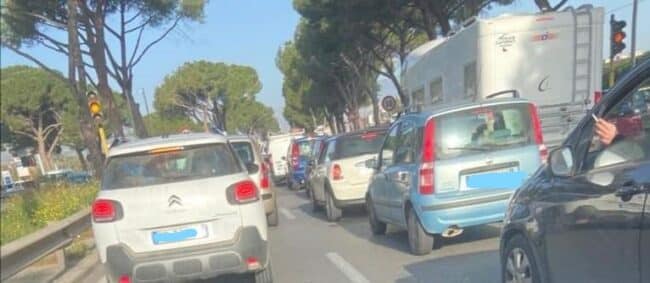 Palermo, caos al Ponte Corleone: Italia Viva chiede le dimissioni dell’assessore Prestigiacomo