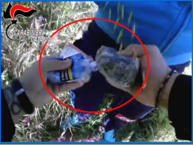 Catania, la droga a un cliente: spacciatore fugge, arrestato nelle campagne con la droga negli slip