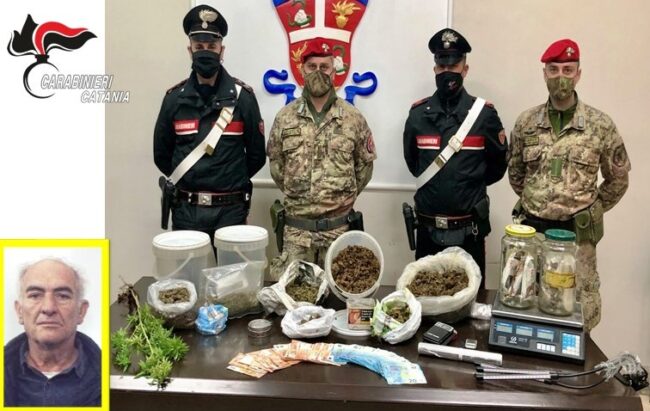 Paternò, impiegato insospettabile con la “passione” per la cannabis: arrestato