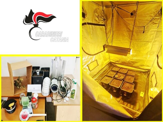 Aci Castello, piante di cannabis in casa: “Solo per uso personale”, arrestato