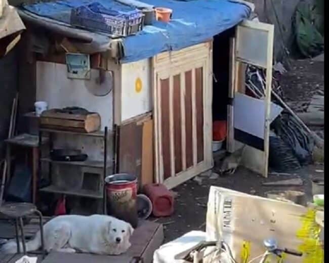 Degrado a Catania: piazza dei Magazzini tra rifiuti, bagni a cielo aperto e alloggi di fortuna. La denuncia