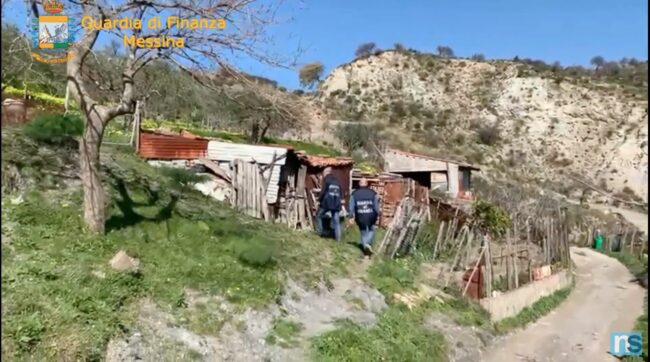 Scoperta fattoria lager, macelli ed allevamenti abusivi: sequestrati coltelli, mazze di ferro e oltre 230 capi di bestiame – IL VIDEO
