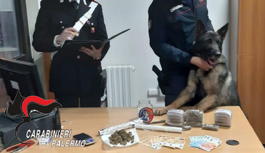 Pensionato spacciava hashish e marijuana per la città, in casa droga dal valore di 25mila euro: arrestato