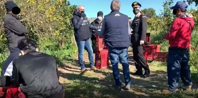 Lavoro in nero in provincia di Catania, 6 stranieri impiegati per la raccolta di arance: maxi sanzione per il titolare