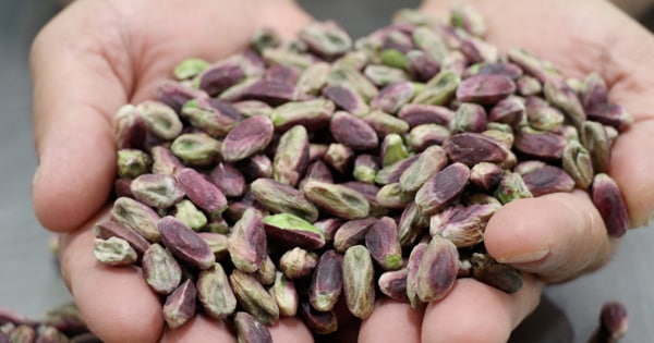 Agroalimentare in Sicilia, pistacchio di Raffadali nel registro Dop e Igp