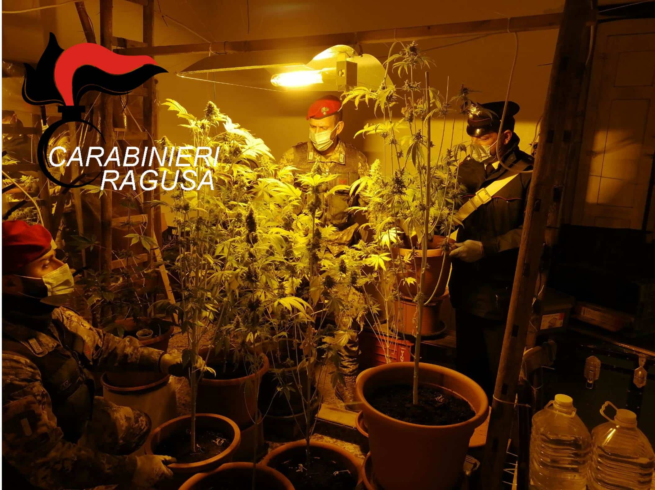 Piantagione di marijuana nascosta in casa: arrestato operaio del Ragusano – VIDEO e FOTO