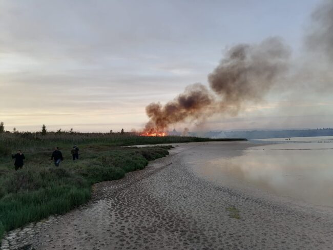 Incendio distrugge parte della Riserva di Vendicari: la matrice sarebbe dolosa