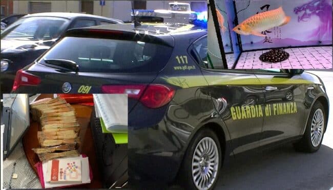 Sicilia, grossa frode all’erario: cinesi tra bella vita e tre milioni evasi, trovato pesce raro e in via d’estinzione