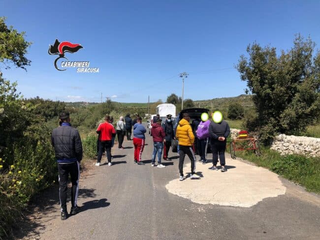 Blitz dei carabinieri sulla Maremonti: interrotta corsa clandestina, sequestrato un equino e denunciate 16 persone – Le FOTO