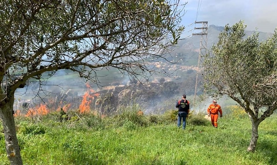 Vasto incendio distrugge 4 ettari di terreno: il vento ha peggiorato e aumentato le fiamme – FOTO