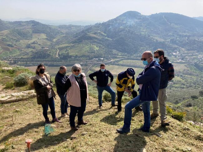 Parco archeologico di Segesta, ripresa la campagna di scavi. Samonà: “Sosteniamo le radici storiche” – FOTO