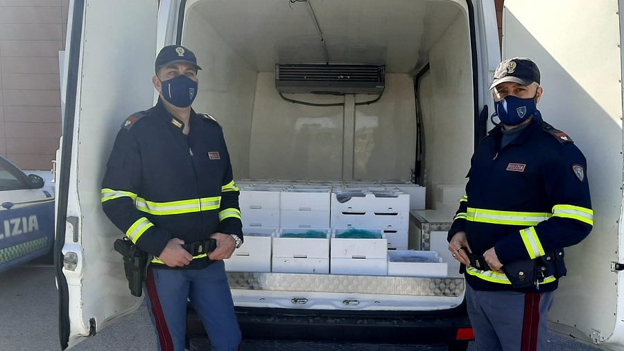 Controlli sulla Palermo-Catania, furgoncino con oltre 400 kg di novellame: sequestrato il pesce e denunciato l’autista