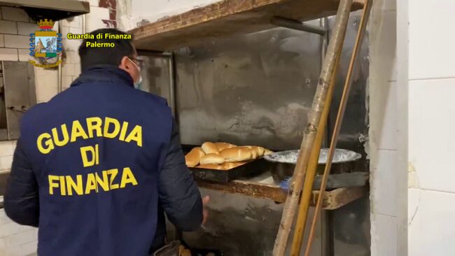 Orrore in un panificio di quartiere. Blatte tra gli alimenti mal conservati e lavoro in nero: sequestrato