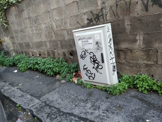 Catania, degrado nel quartiere Borgo-Sanzio: dai marciapiedi pieni di erba ai topi. La segnalazione del Comitato Cittadino Vulcania