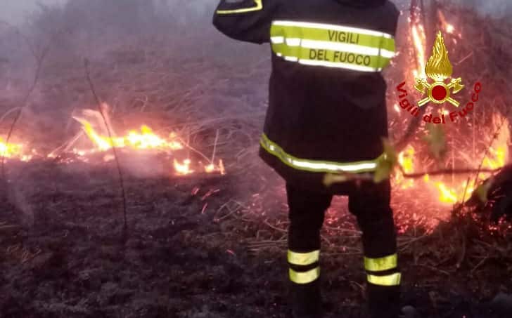 Vasto incendio nel Catanese, a fuoco bosco sui Nebrodi: domato dopo diverse ore