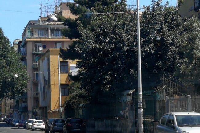 Potatura alberi via Sassari, Ferrara (III municipio di Catania): “Obiettivo cura del verde”
