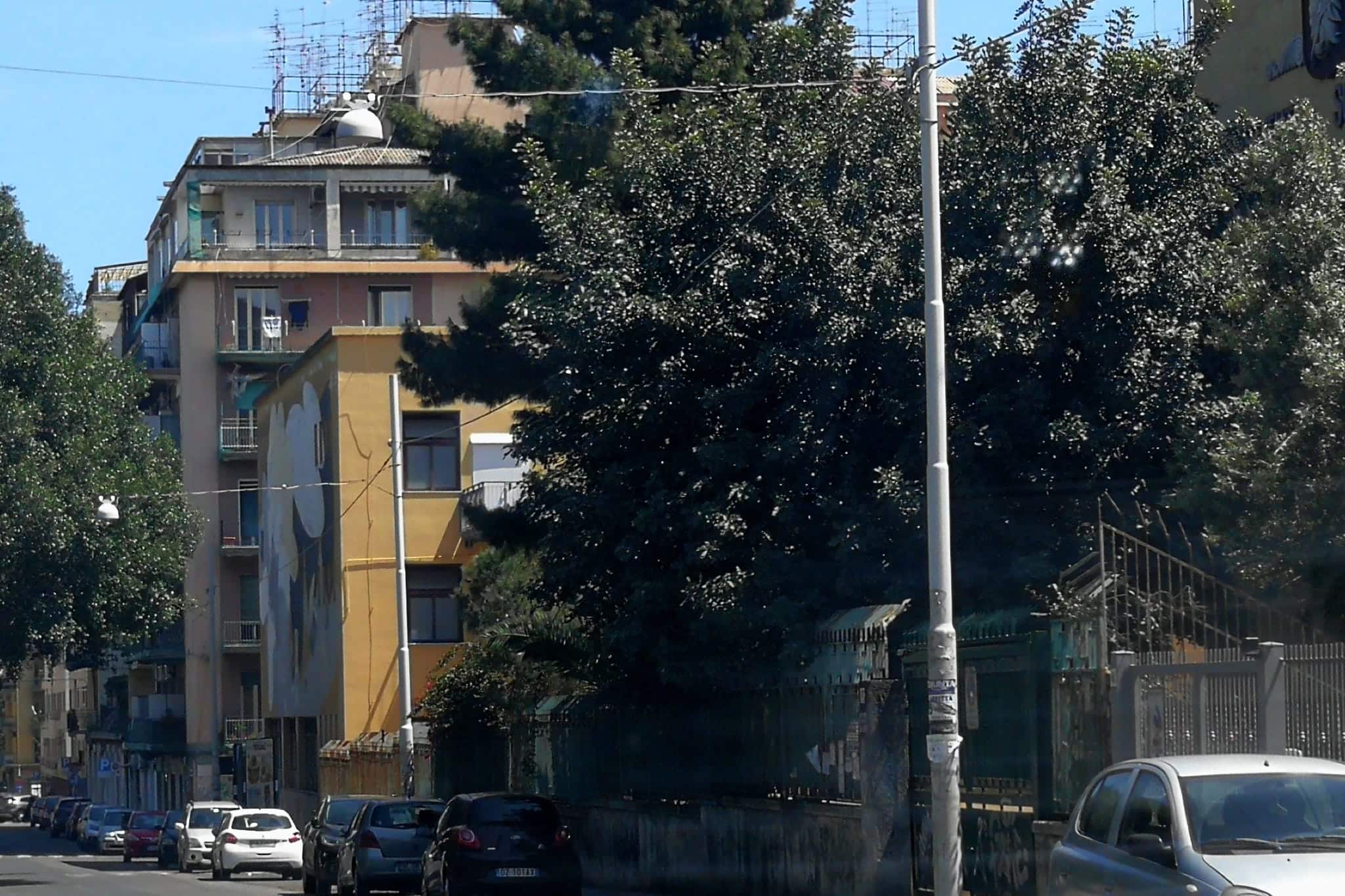 Potatura alberi via Sassari, Ferrara (III municipio di Catania): “Obiettivo cura del verde”