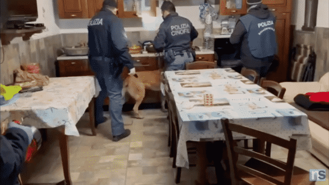 Dal pizzo al mercato della droga, 30 arresti in corso: oltre 200 agenti impiegati – IL VIDEO