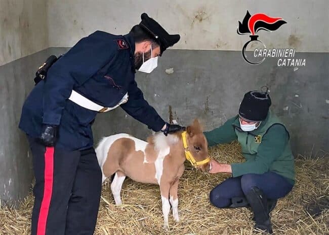 Catania, lotta all’illegalità diffusa: battuto palmo a palmo il quartiere Galermo – IL RESOCONTO
