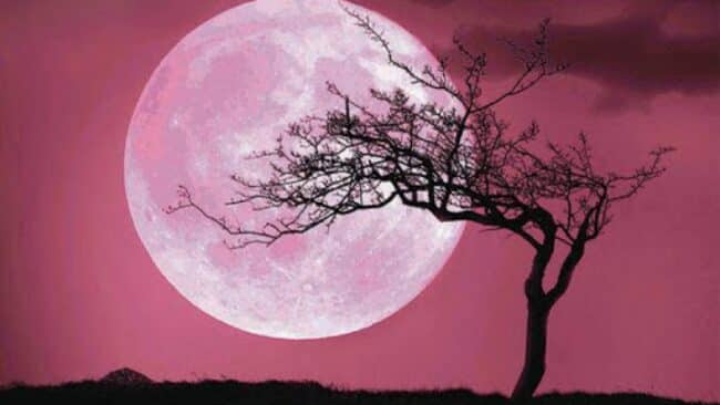 Superluna rosa 2021, dal crepuscolo inizia la magia: tutti col naso all’insù, ecco quando ammirarla